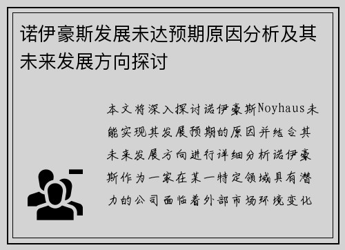 诺伊豪斯发展未达预期原因分析及其未来发展方向探讨